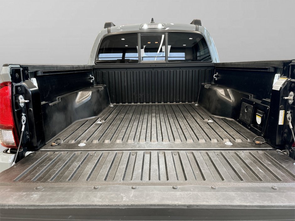 2023 Toyota TACOMA-4
