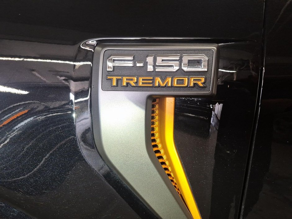 2025 Ford F-150 Tremor-5
