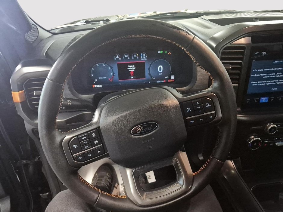 2025 Ford F-150 Tremor-11