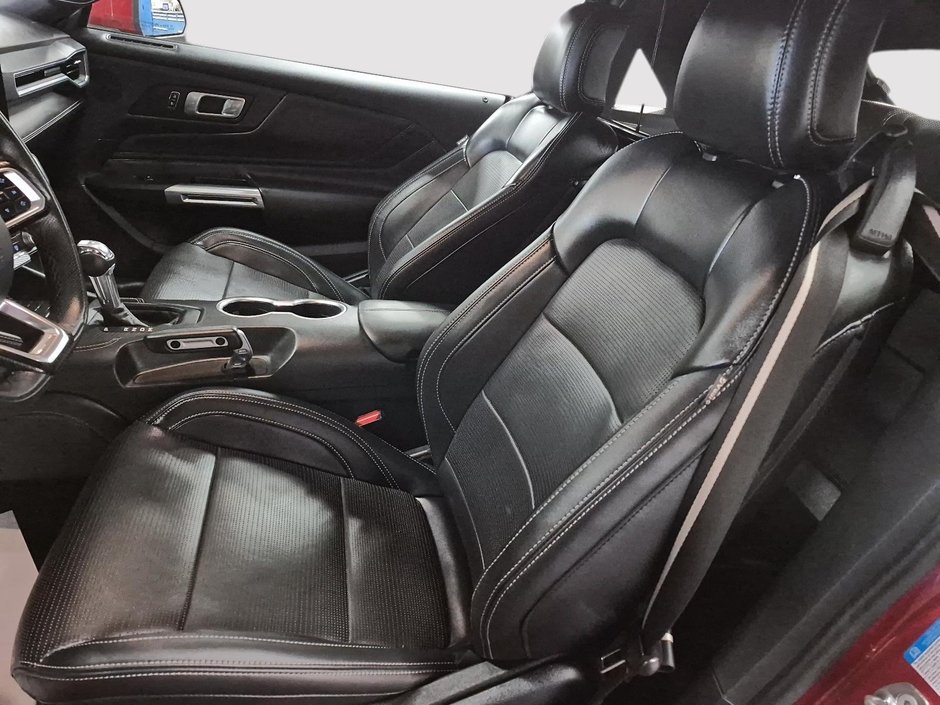 Ford Mustang GT // PREMIUM // CONVERTIBLE 2024-8
