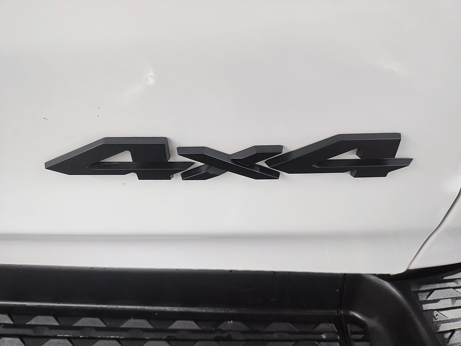Ram 1500 BIG HORN 4X4 CREW CAB // V8 // BACK COUNTRY 2023-15