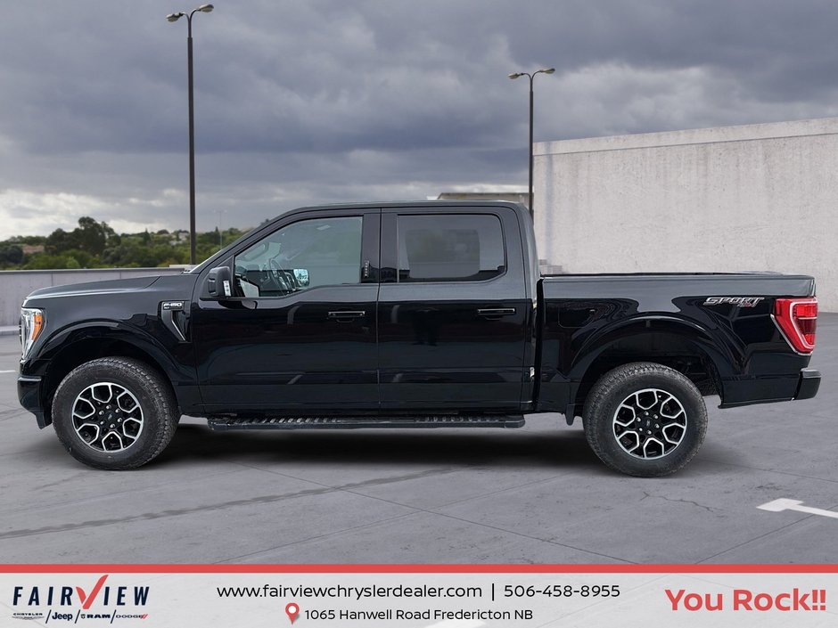 2023 Ford F-150 XLT sport