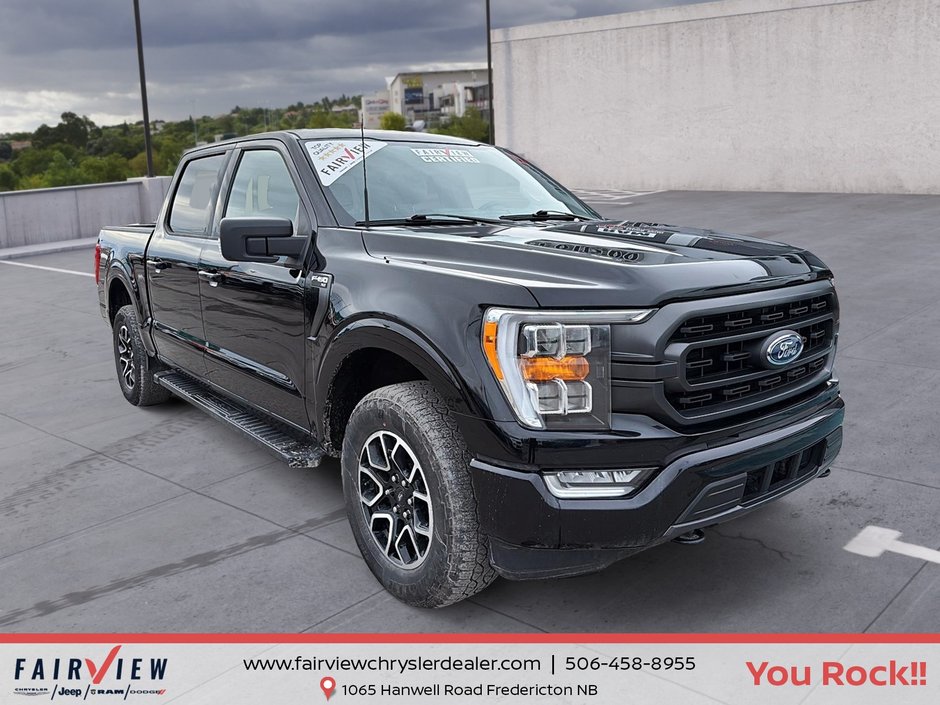 2023 Ford F-150 XLT sport