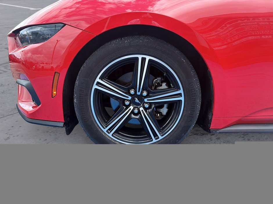 2025 Ford Mustang Eco sport premium