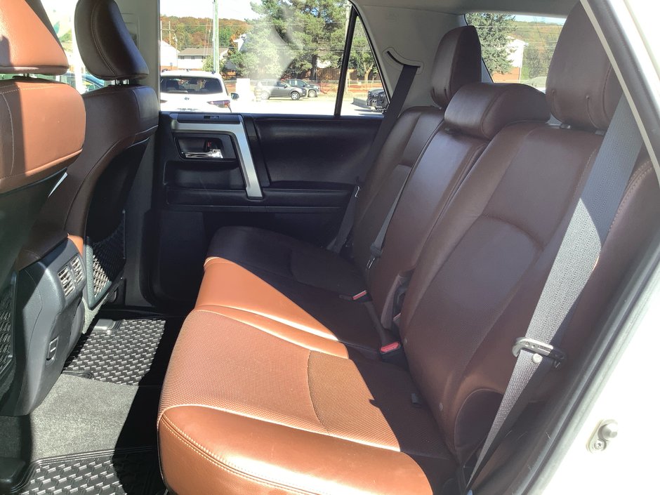 2019 Toyota 4Runner LTD-14