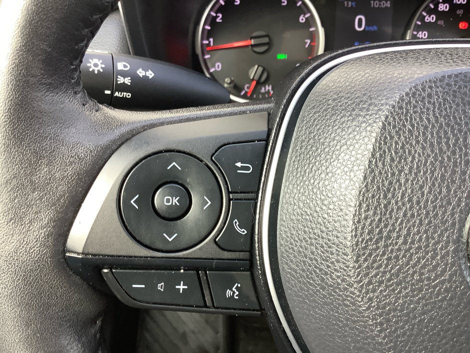 2022 Toyota RAV XLE-19