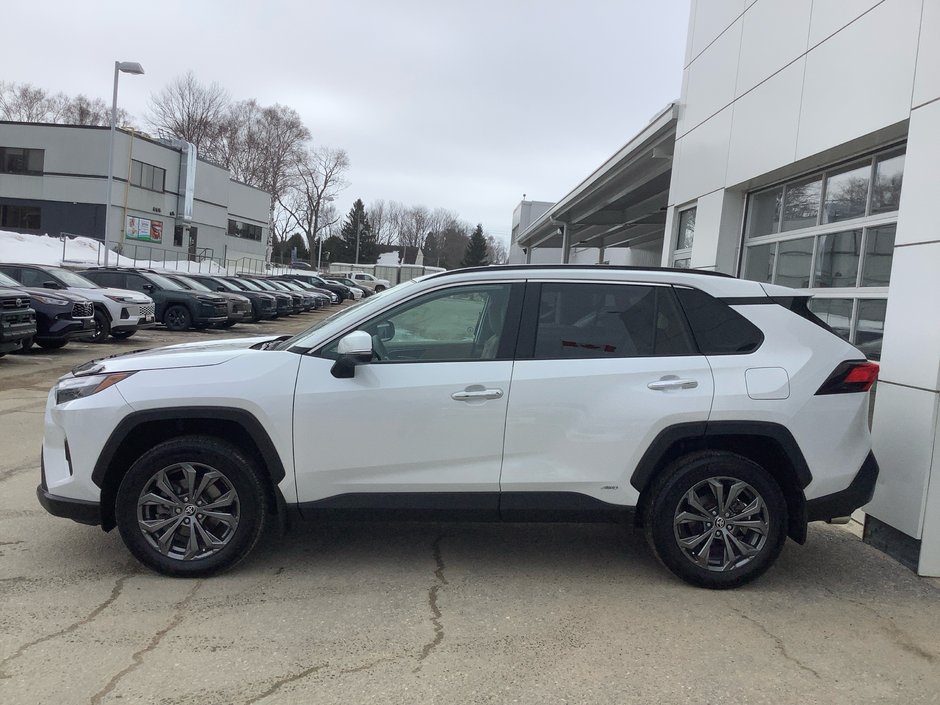 2024 Toyota RAV4 HYBRID LIMITED-4