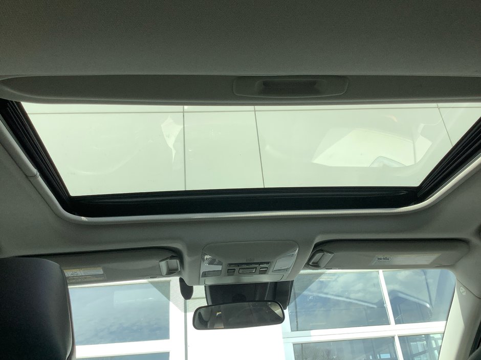 2019 Toyota RAV4 TRAIL Trail-25