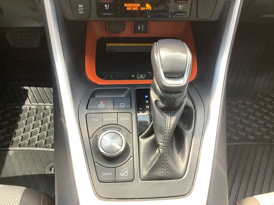 2019 Toyota RAV4 TRAIL Trail-22