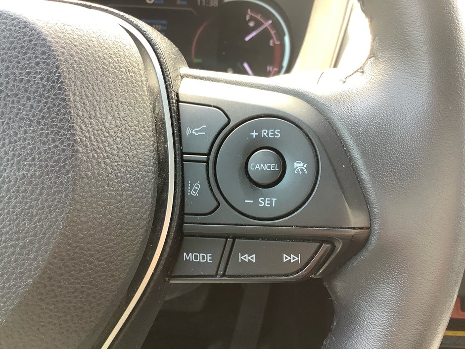2019 Toyota RAV4 TRAIL Trail-19
