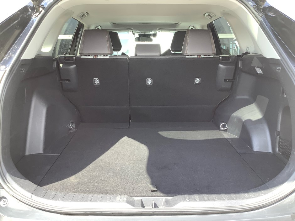 2019 Toyota RAV4 TRAIL Trail-8