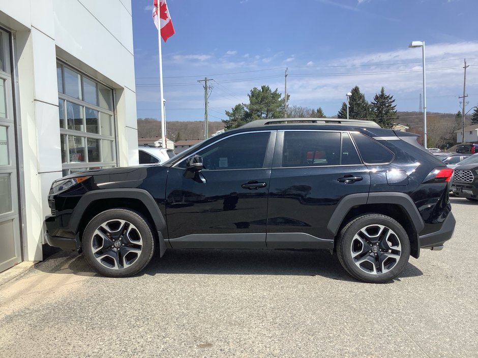 2019 Toyota RAV4 TRAIL Trail-9