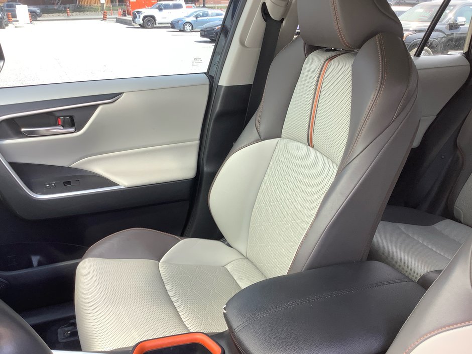 2019 Toyota RAV4 TRAIL Trail-14