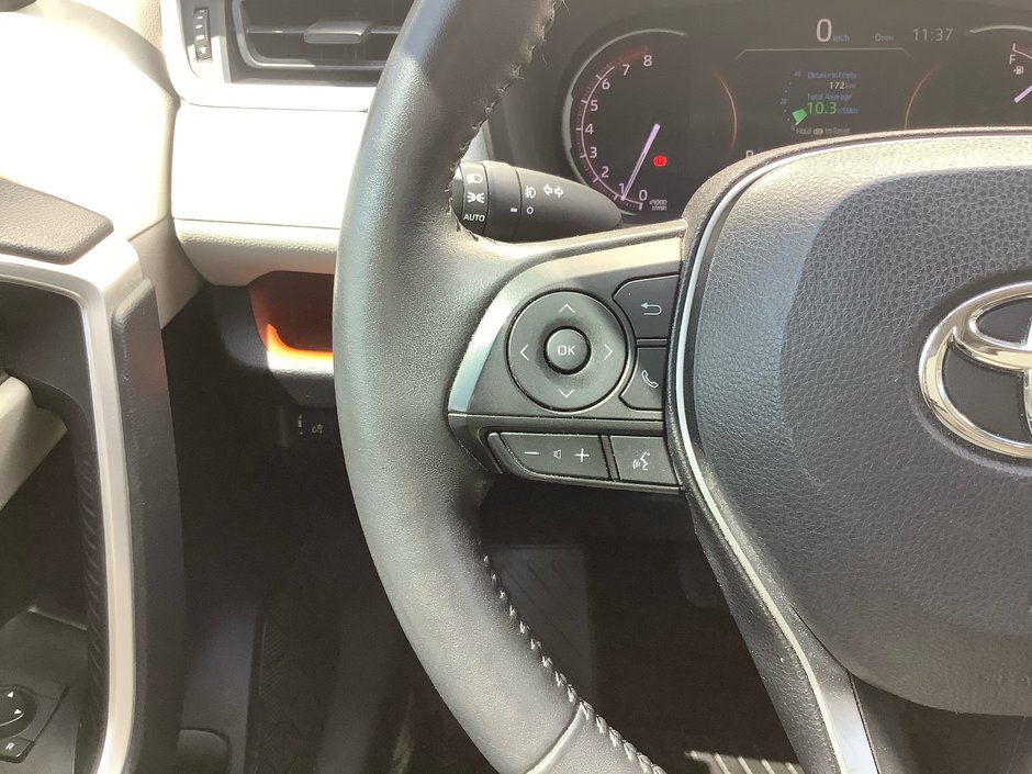 2019 Toyota RAV4 TRAIL Trail-18
