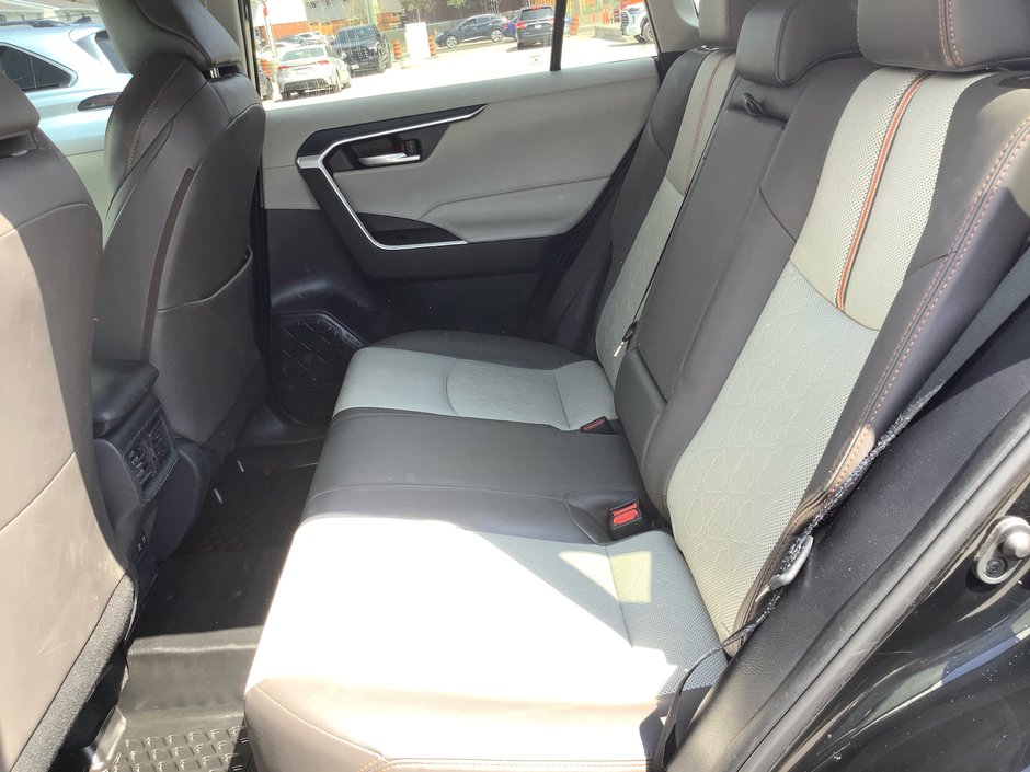 2019 Toyota RAV4 TRAIL Trail-16