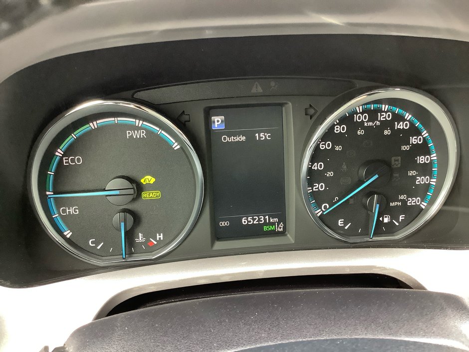 2017 Toyota RAV4 XLE HYBRID-19
