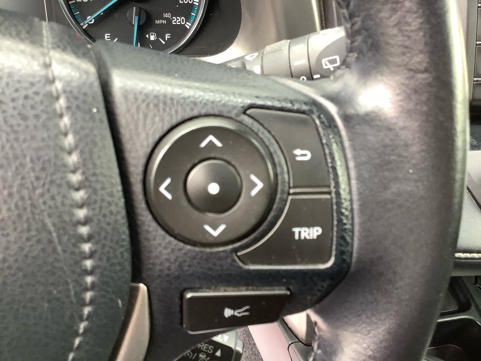 2017 Toyota RAV4 XLE HYBRID-18