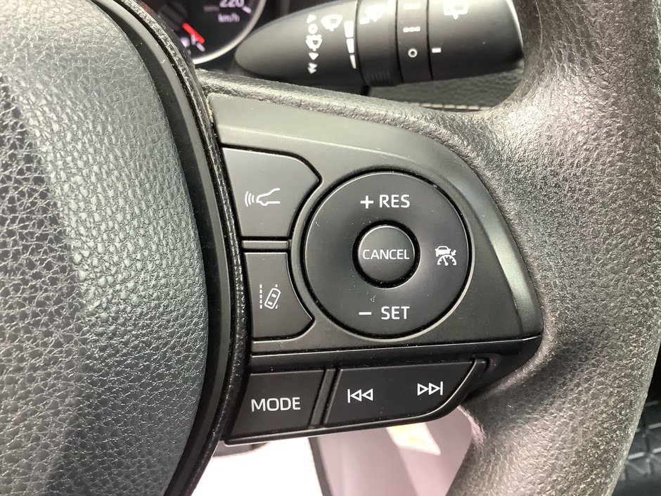 2019 Toyota RAV4 LE-18