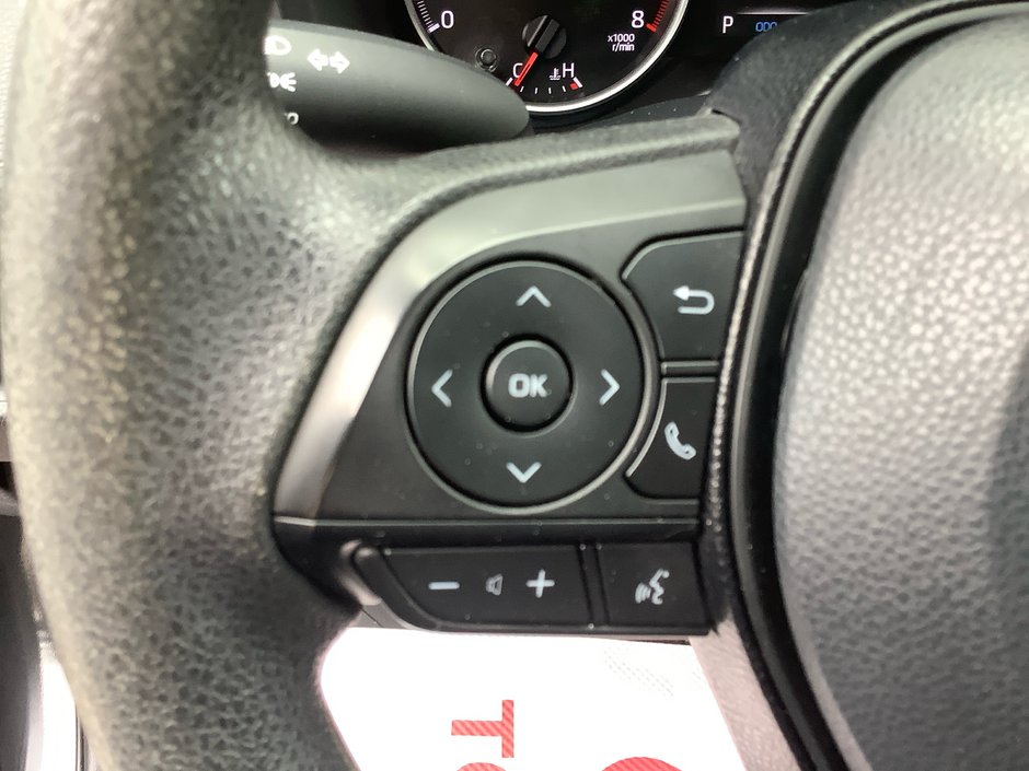 2019 Toyota RAV4 LE-17