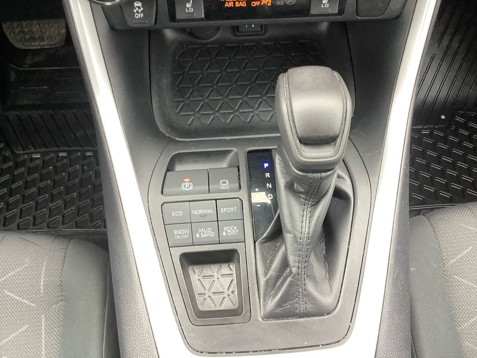 2019 Toyota RAV4 XLE-19