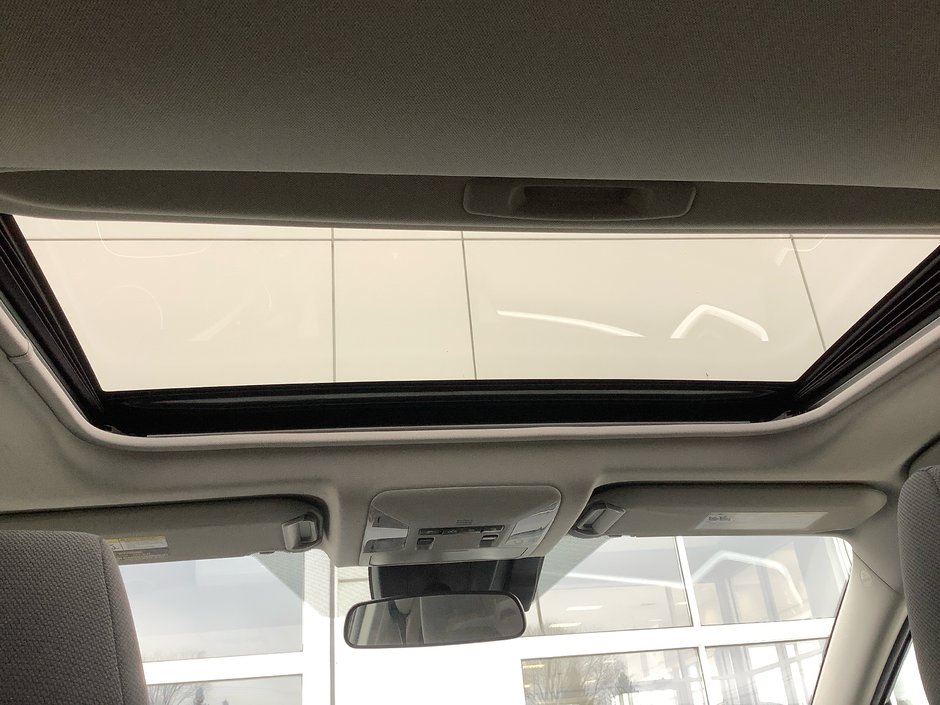 2019 Toyota RAV4 XLE-21