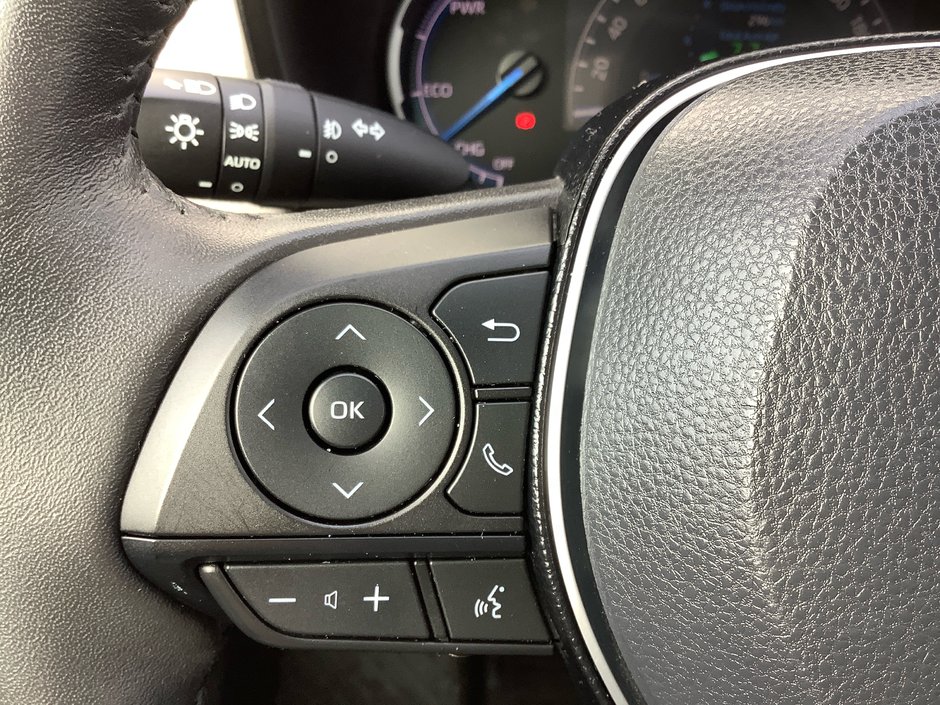 2019 Toyota RAV4 Hybrid Limited-18