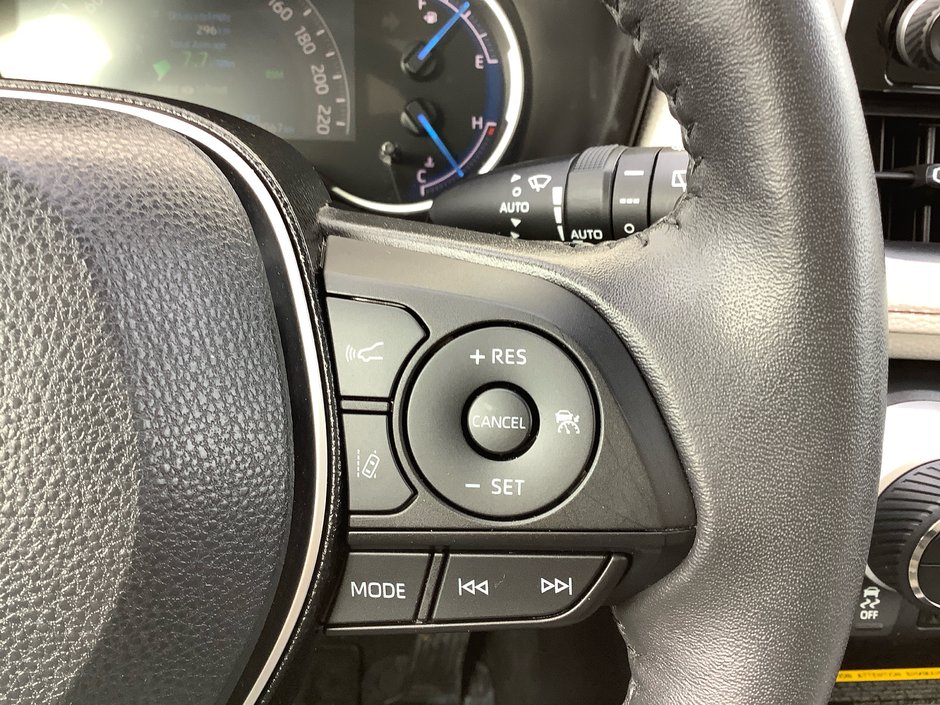 2019 Toyota RAV4 Hybrid Limited-17