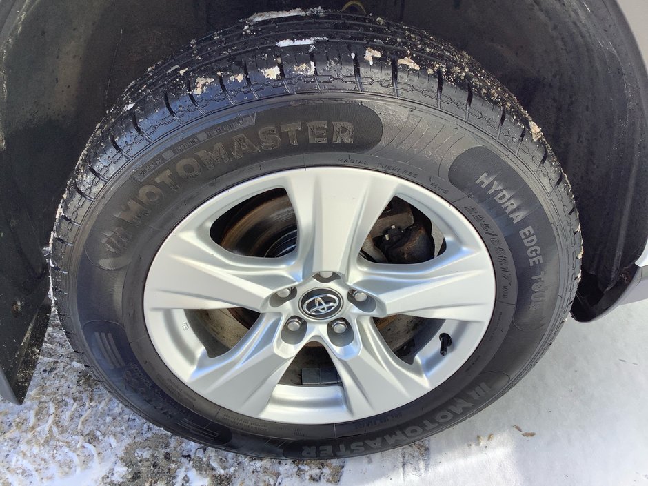 2019 Toyota RAV4 XLE-10