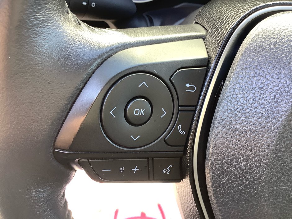 2019 Toyota RAV4 XLE-18