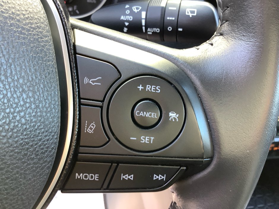 2019 Toyota RAV4 XLE-19