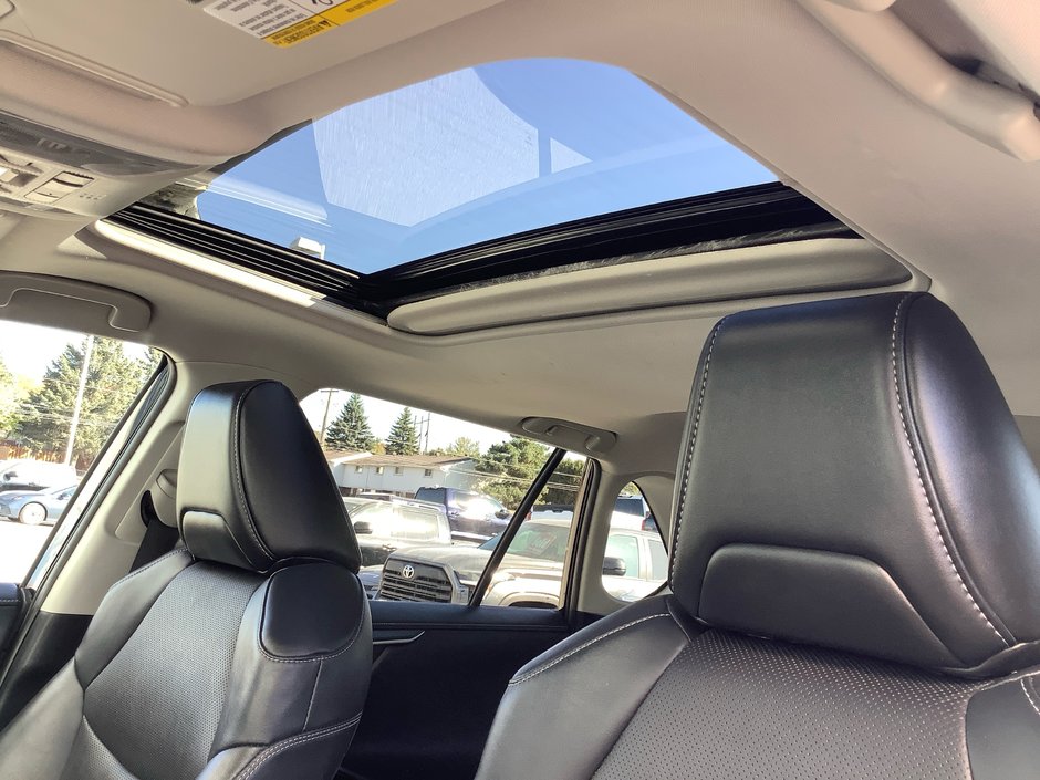 2020 Toyota RAV4 Hybrid Limited-14