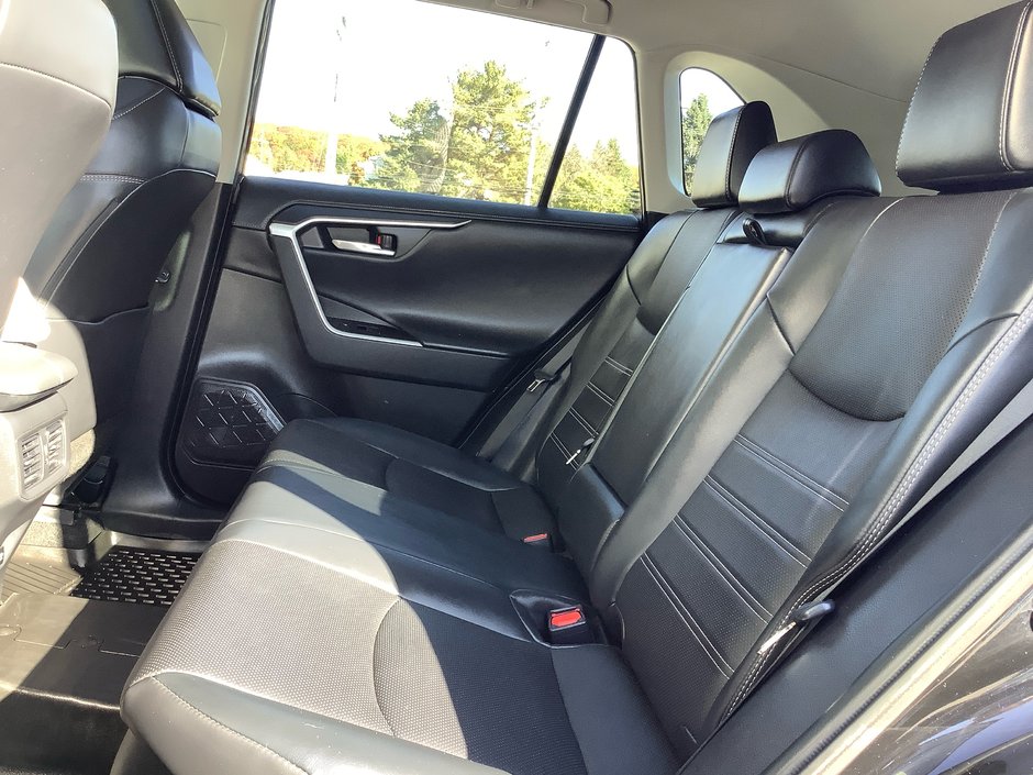 2020 Toyota RAV4 Hybrid Limited-15