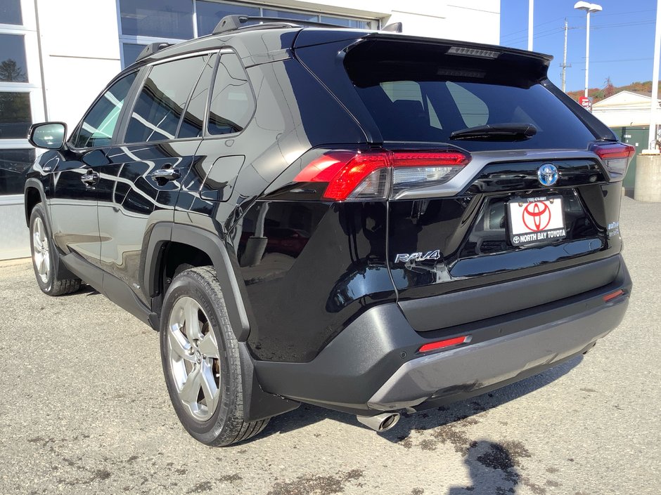 2020 Toyota RAV4 Hybrid Limited-6