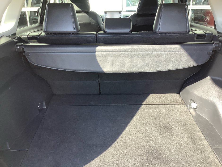 2020 Toyota RAV4 Hybrid Limited-10