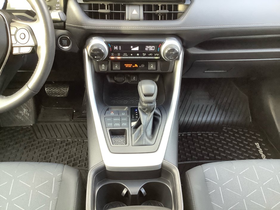 2020 Toyota RAV4 XLE-18