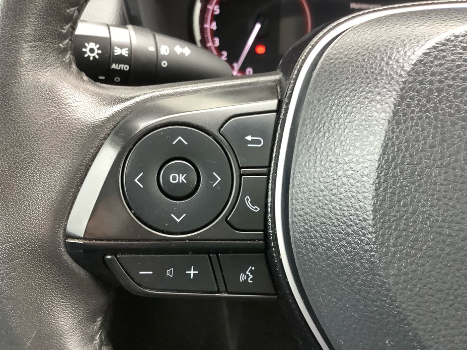 2020 Toyota RAV4 TRAIL-18
