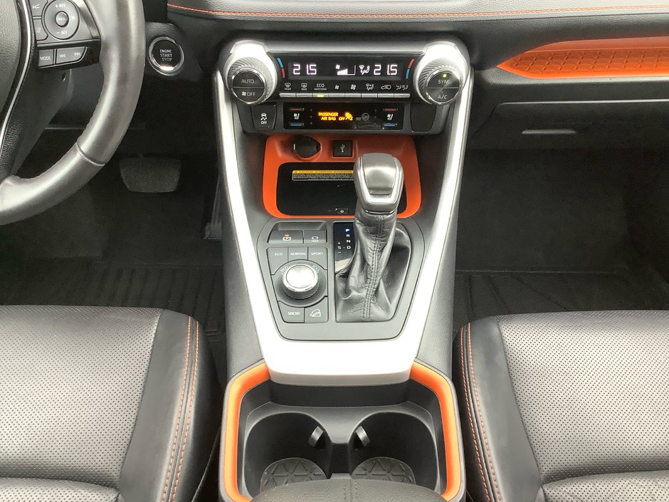 2020 Toyota RAV4 TRAIL-20
