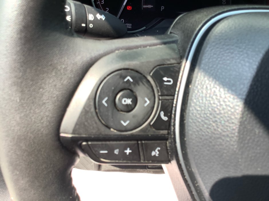 2022 Toyota RAV4 LIMITED-19