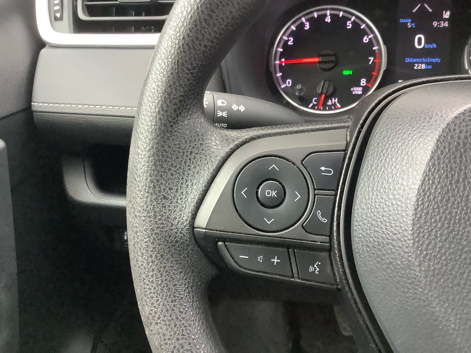 2022 Toyota RAV4 LE-19