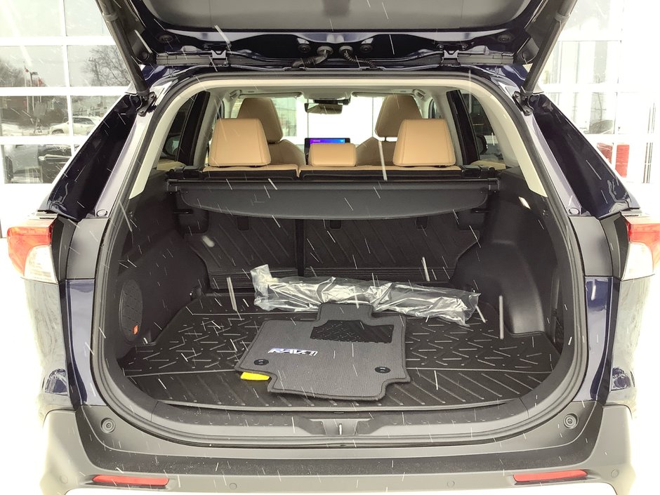 2023 Toyota RAV4 LTD-6