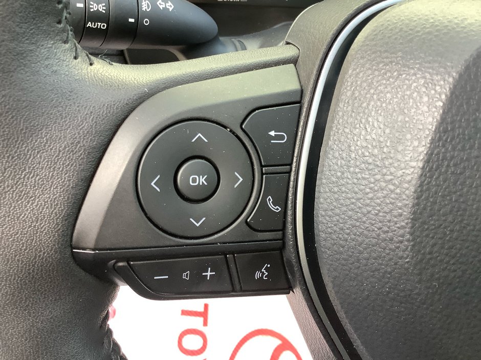 2024 Toyota RAV4 LIMITED-15
