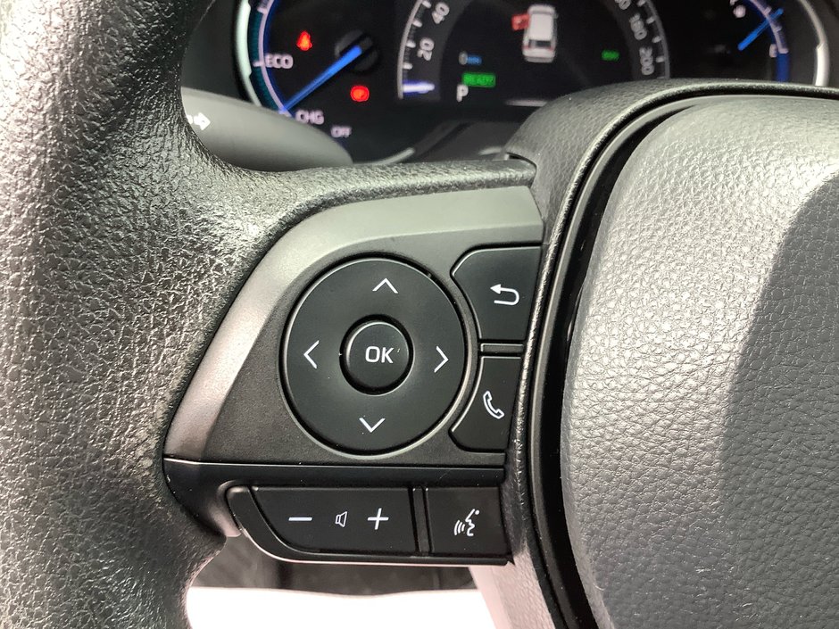 2024 Toyota RAV4 Hybrid LE-9