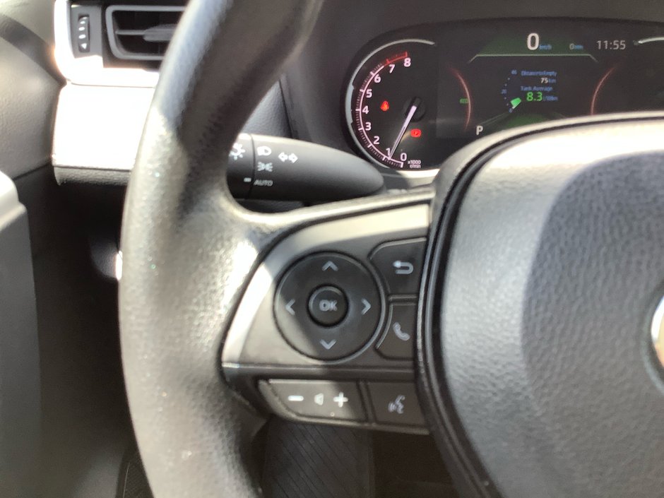 2025 Toyota RAV4 LE-16