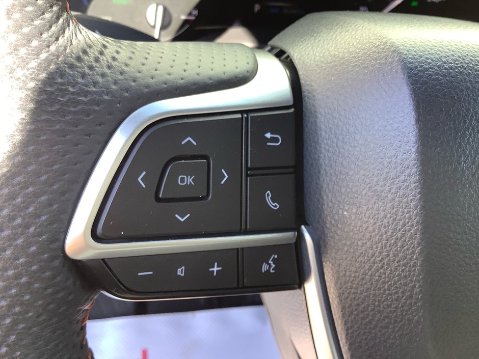 2024 Toyota SIENNA-19