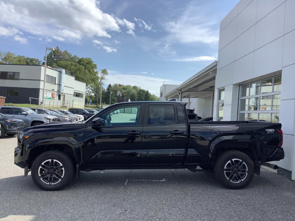 2024 Toyota TACOMA-4