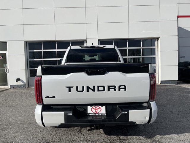 2022 Toyota Tundra CREWMAX PLATINUM-6