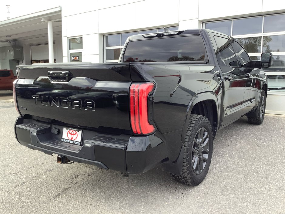 2023 Toyota TUNDRA PLATINUM-5