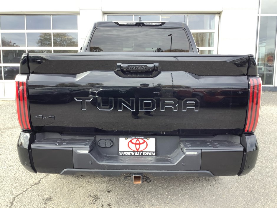 2023 Toyota TUNDRA PLATINUM-7