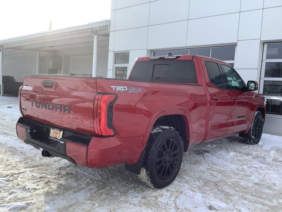 2023 Toyota TUNDRA SR-19