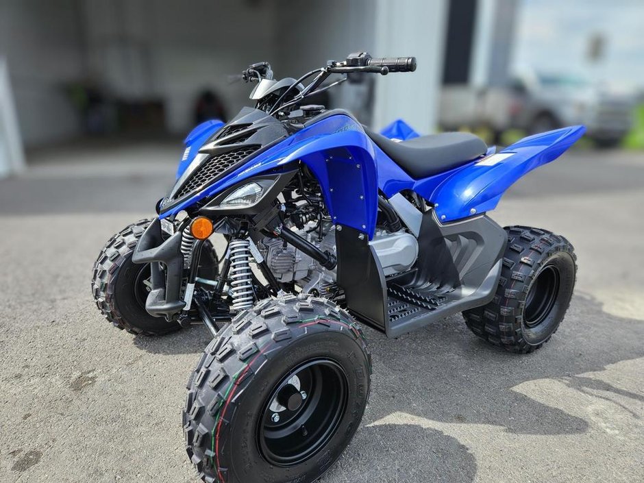2025 Yamaha RAPTOR 110
